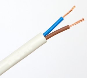 ПВС 2х1,0